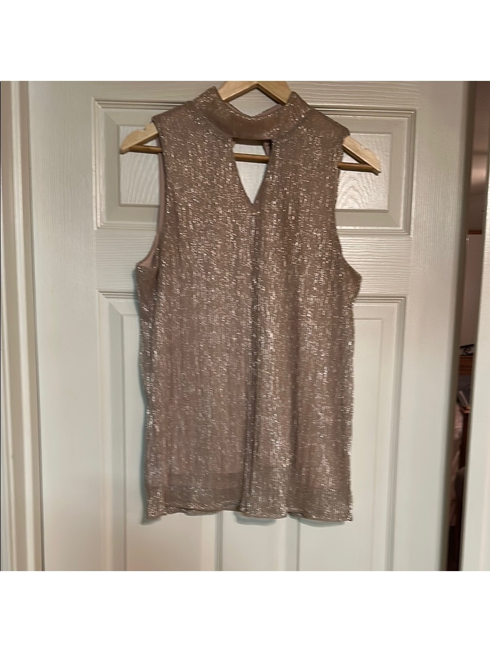 Elegant Sleeveless Top in Shimmering Tan